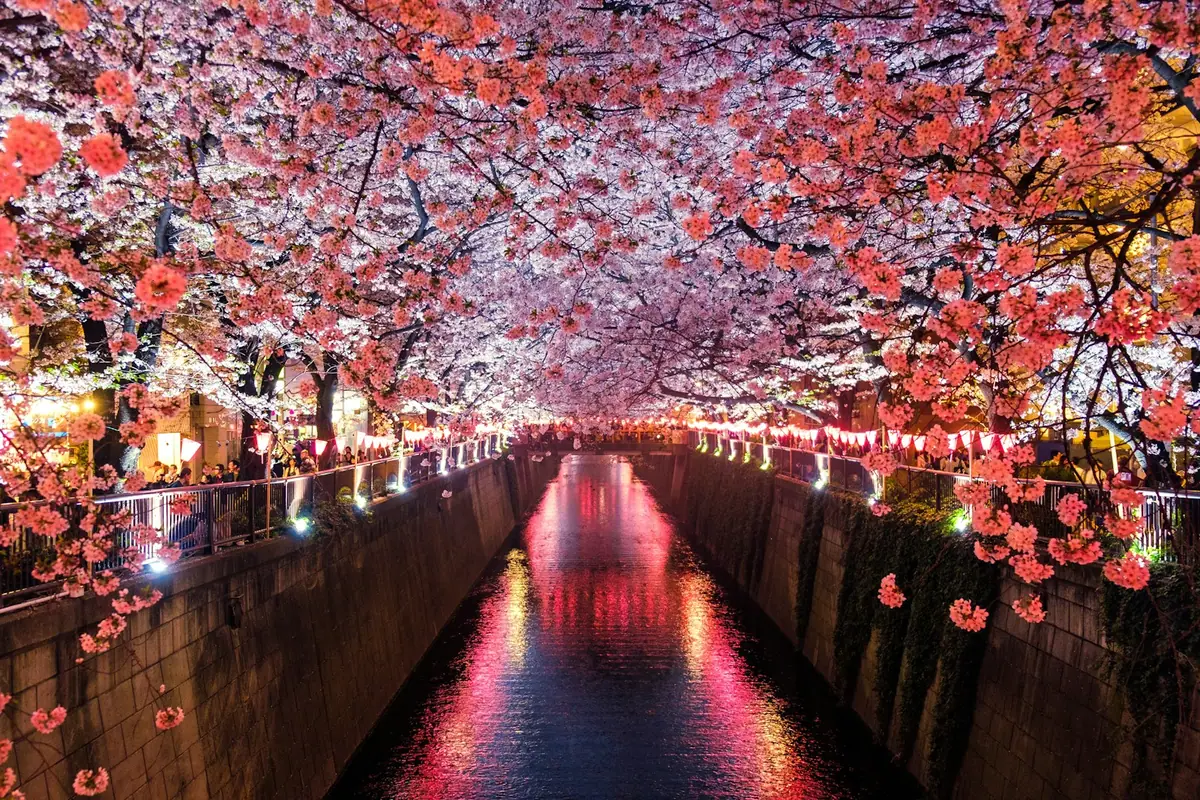 Sistema ng Paghahanap ng Trabaho sa Japan para sa mga Dayuhan (Shinsotsu, Visa, SPI)